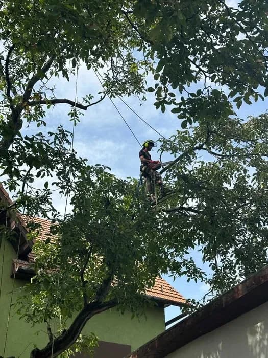 servizi we can do it