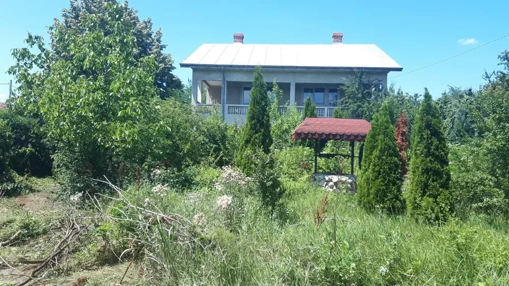 servizi we can do it