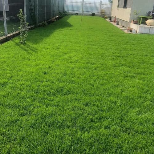 Manutenzione del Verde